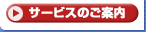 �T�[�r�X�̂��ē�